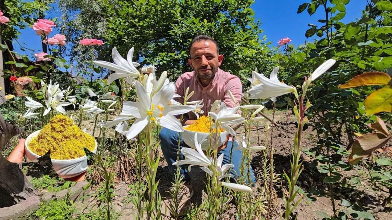 tokatin nadir guzelligi akzambak cicegi ve faydalari Rj3vMSEf