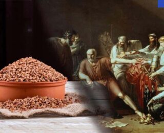 Hipokrat yüzyıllar evvel önermişti! Regl ağrısını şıp diye kesiyor! Binbir sıkıntıya deva oluyor!